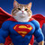 Super Cat logo